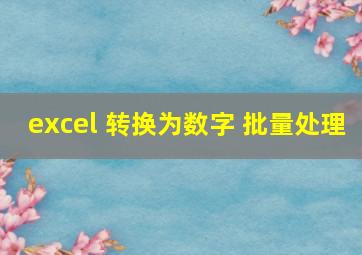 excel 转换为数字 批量处理